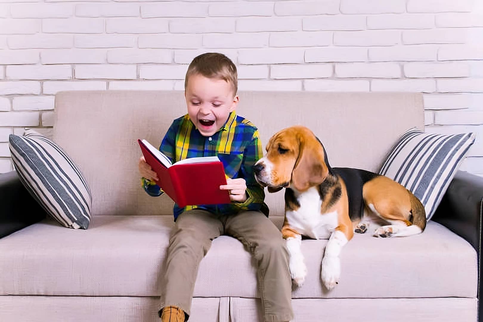 Boys and Dog Homemaking Homeschooling Tips for Busy Folks